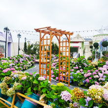 Load image into Gallery viewer, SCENDOR 82.6" High x 63.4'' Wide Wooden Garden Arbor
