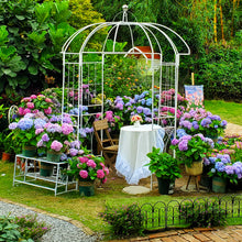 Load image into Gallery viewer, SCENDOR Garden Arches Arbors Metal Gazebo White Durable Iron Trellis