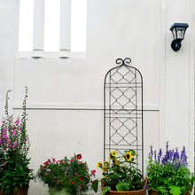 Load image into Gallery viewer, SCENDOR Garden Metal Frame Trellis for Climbing Plants (60 *16 Inch, Pack of 2, Black)