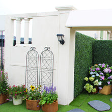 Load image into Gallery viewer, SCENDOR Garden Metal Frame Trellis for Climbing Plants (60 *16 Inch, Pack of 2, Black)