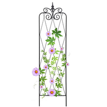 Load image into Gallery viewer, SCENDOR 59inch x15inch Rustproof Metal Vine Trellises A (150cm) 2Pack